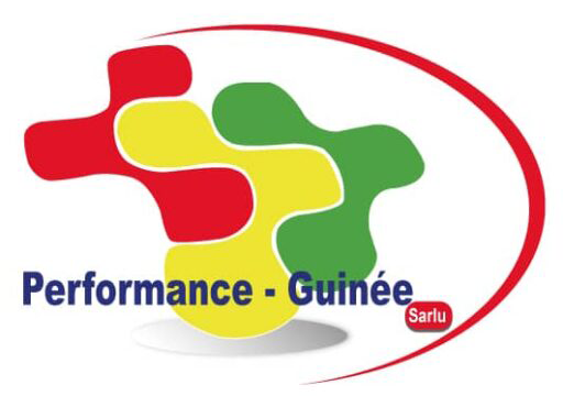 Cabinet Performance Guinée